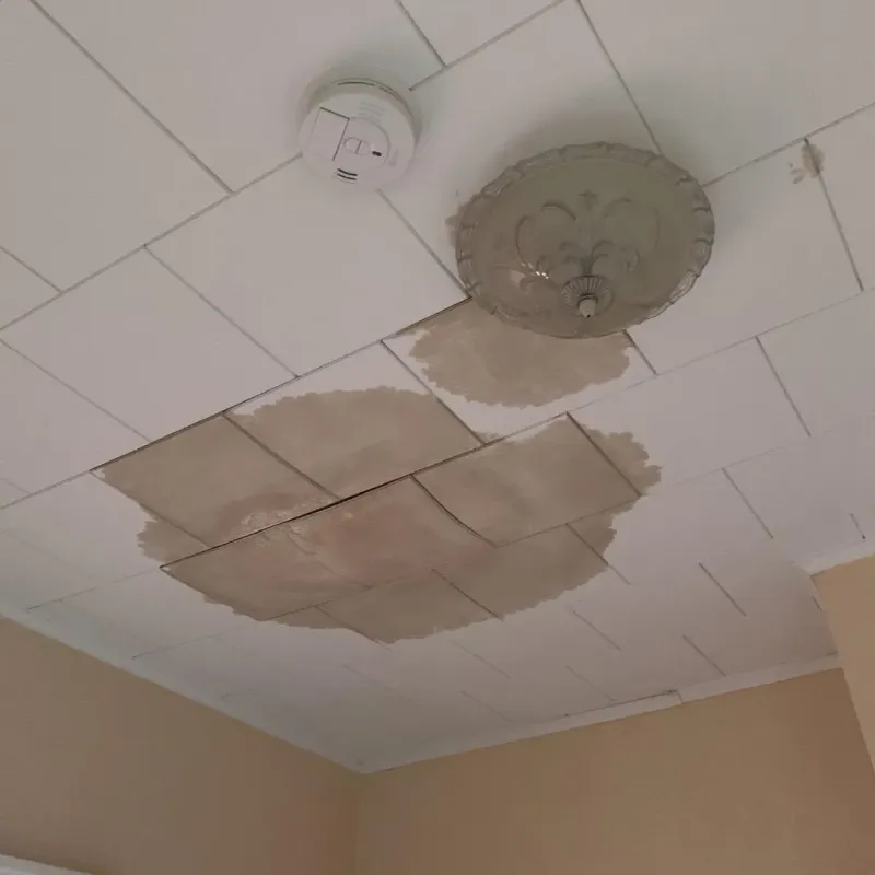 Ceiling Water Damage Repair in North Pekin, IL